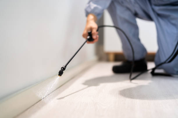 Licensed Fumigation Services service in South Jacksonville, IL - Nex Pest Control