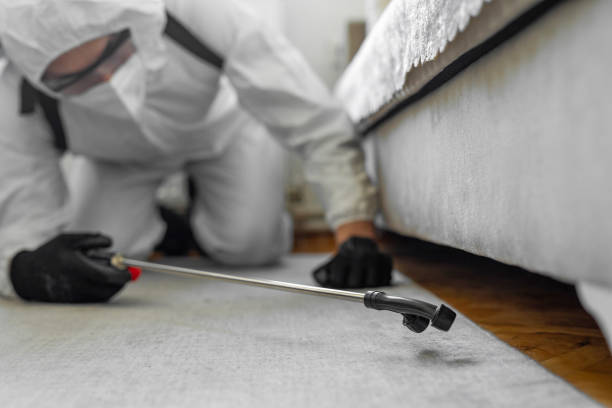 Professional Fumigation Services technician working in South Jacksonville, IL