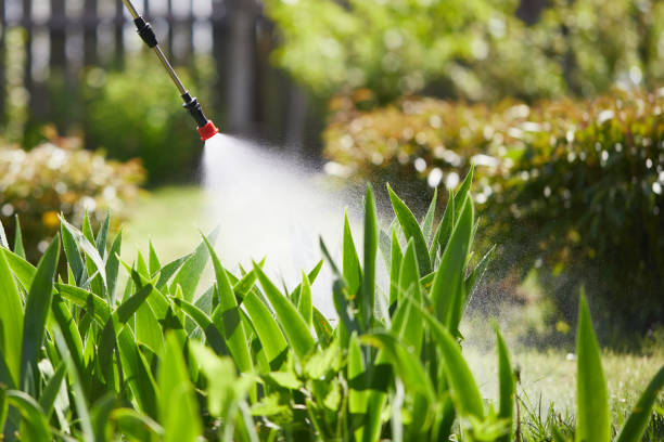 24/7 Emergency Fumigation Services experts in South Jacksonville, IL
